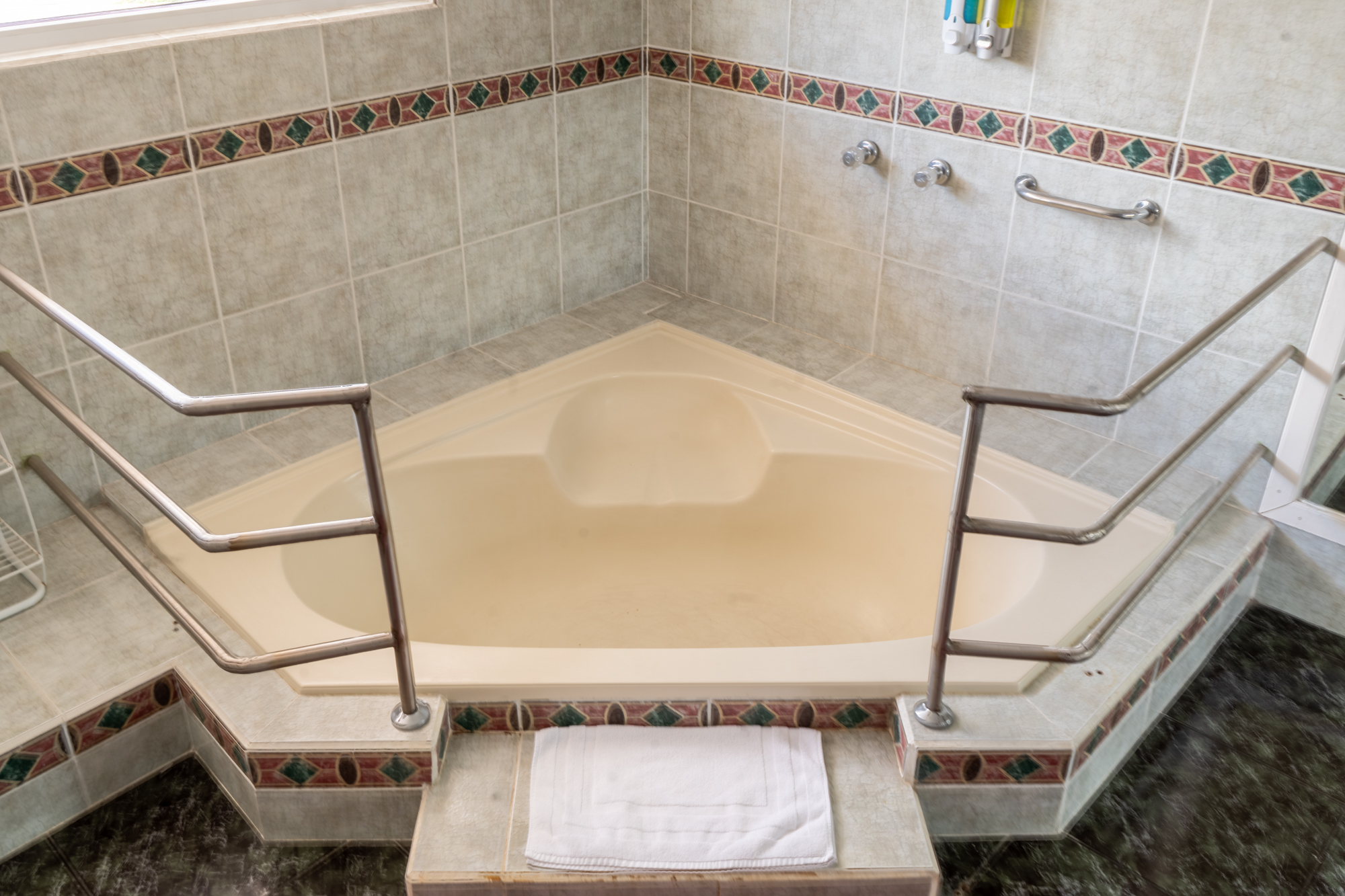 mini suite2
